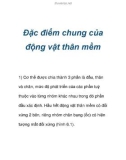 Đặc điểm chung của động vật thân mềm