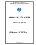 Khóa luận tốt nghiệp Kế toán - Kiểm toán: Hoàn thiện công tác kế toán doanh thu, chi phí và xác định kết quả kinh doanh tại Công ty trách nhiệm hữu hạn thương mại Tân Anh