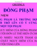 Bài giảng Luật Hình sự Việt Nam: Chương X (tt) - ThS. Trần Đức Thìn