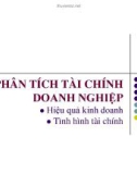 Bài giảng Phân tích tài chính doanh nghiệp - Tình hình tài chính