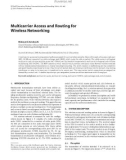 Báo cáo hóa học:  Multicarrier Access and Routing for Wireless Networking Diakoumis Gerakoulis