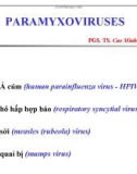 PARAMYXOVIRUSES