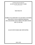 Luận án Tiến sĩ Khoa học Môi trường: Nghiên cứu sự phân bố của Po-210 trong nước biển, trầm tích và ngao (Meretrix meretrix), hàu (Crassostrea gigas) trong vùng biển ven bờ khu vực Bắc Bộ