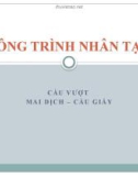 Bài thuyết trình: Công trình nhân tạo cầu vượt Mai Dịch - Cầu Giấy