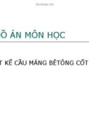 Đồ án môn học: Thiết kế cầu máng bêtông cốt thép