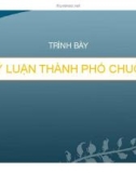 Bài tập lịch sử đô thị - Lý luận thành phố chuỗi