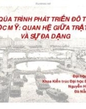 Bài tập lịch sử đô thị: Qúa trình phát triển đô thị học mỹ: quan hệ giữa trật tự và sự đa dạng