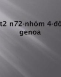 Bài tập lịch sử đô thị: Thành phố Genoa - Italya