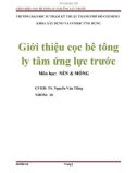 Tiểu luận: Giới thiệu cọc bê tông ly tâm ứng lực trước