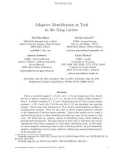 Báo cáo toán học: Adaptive Identiﬁcation in Torii in the King Lattice