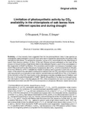 Báo cáo lâm nghiệp: Limitation of photosynthetic activity by CO 2 availability in the chloroplasts of oak leaves from different species and during drought