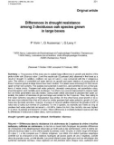 Báo cáo khoa học: Differences in drought resistance among 3 deciduous oak species grown in large boxes