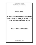 Luận văn Thạc sĩ Toán học: Sự tồn tại nghiệm của phương trình Monge Ampère phức trong các lớp năng lượng đa phức có trọng