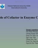 The Role of Cofactor in Enzyme Catalysis