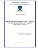 Khóa luận tốt nghiệp: Ảnh hưởng của nồng độ cơ chất lên động học lên men Cellulose của vi khuẩn Acetobacter Xylinum