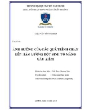 Khóa luận tốt nghiệp: Ảnh hưởng của các quá trình chần lên hàm lượng bột sinh tố mãng Cầu Xiêm