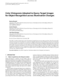 Báo cáo hóa học:  Color Histograms Adapted to Query-Target Images for Object Recognition across Illumination Changes