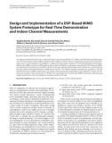 Báo cáo hóa học:   Design and Implementation of a DSP-Based MIMO System Prototype for Real-Time Demonstration and Indoor Channel Measurements