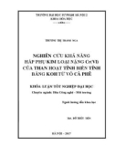 Khóa luận tốt nghiệp đại học: Nghiên cứu khả năng hấp phụ kim loại nặng Cr(VI) của than hoạt tính biến tính bằng KOH từ vỏ cà phê