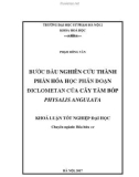 Khóa luận tốt nghiệp đại học: Bước đầu nghiên cứu thành phần hóa học phân đoạn điclometan của cây Tầm bóp (Physalis angulata)