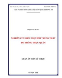 Luận án Tiến sĩ Y học: Nghiên cứu điều trị viêm trung thất do thủng thực quản