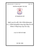 Luận án tiến sĩ Y học: Nghiên cứu tần suất, đặc điểm thalassemia và các bệnh hemoglobin trong cộng đồng dân tộc Khmer ở đồng bằng sông Cửu Long