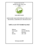 Khoá luận tốt nghiệp Đại học: Đánh giá hiện trạng môi trường đất trồng rau xã Hóa Thượng, huyện Đồng hỷ, tỉnh Thái Nguyên