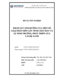 Đồ án tốt nghiệp: Khảo sát ảnh hưởng của một số loại phân bón lên tính chất đất và sự sinh trưởng, phát triển của cải bẹ xanh