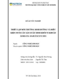 Đồ án tốt nghiệp: Thiết lập môi trường dinh dưỡng và điều kiện nuôi cấy sản xuất sinh khối vi khuẩn Serratia marcescens SH1
