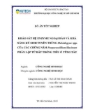 Đồ án tốt nghiệp: Khảo sát hệ enzyme ngoại bào và khả năng ký sinh tuyến trùng Meloidogyne spp. của các chủng nấm Purpureocillium lilacinum phân lập từ đất trồng tiêu ở Vũng Tàu