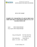 Đồ án tốt nghiệp: Nghiên cứu ảnh hưởng của dung môi tách chiết đến hoạt tính kháng khuẩn của cây Elephantopus sp.
