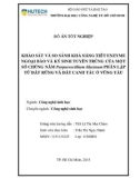 Đồ án tốt nghiệp: Khảo sát và so sánh khả năng tiết enzyme ngoại bào và ký sinh tuyến trùng của một số chủng nấm Purpureocillium lilacium phân lập từ đất rừng và đất canh tác ở Vũng Tàu