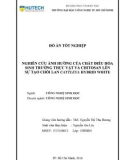 Đồ án tốt nghiệp: Nghiên cứu ảnh hưởng của chất điều hòa sinh trưởng thực vật và chitosan lên sự tạo chồi lan Cattleya Hybrid White