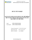 Đồ án tốt nghiệp: Sản xuất nấm Paecilomyces sp. để phòng trừ tuyến trùng Meloidogyne sp. gây hại trên cây hồ tiêu