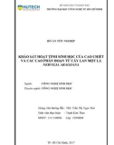 Đồ án tốt nghiệp: Khảo sát hoạt tính sinh học của cao chiết và các cao phân đoạn từ cây Lan một lá Nervilia aragoana