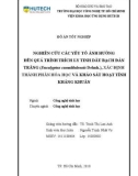 Đồ án tốt nghiệp: Nghiên cứu các yếu tố ảnh hưởng đến quá trình trích ly tinh dầu Bạch đàn trắng (Eucalyptus camaldulensis Dehnh.), xác định thành phần hóa học và khảo sát hoạt tính kháng khuẩn