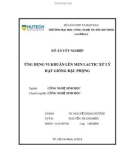 Đồ án tốt nghiệp: Ứng dụng vi khuẩn lên men lactic xử lý hạt giống đậu phộng