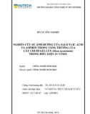 Đồ án tốt nghiệp: Nghiên cứu sự ảnh hưởng của salicylic acid và aspirin trong tăng trưởng của cây chuối già lùn (Musa acuminata) trong điều kiện in vitro