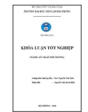 Khóa luận tốt nghiệp Kỹ thuật môi trường: Khảo sát và đánh giá hiện trạng xử lý nước thải tại KCN Đình Vũ