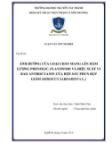 Luận văn tốt nghiệp Công nghệ thực phẩm: Ảnh hưởng của loại chất mang lên hàm lượng phenolic, flavonoid và hiệu suất vi bao anthocyanin của bột sấy phun bụp giấm (Hibiscus sabdariffa L.)