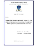 Luận văn tốt nghiệp Công nghệ thực phẩm: Ảnh hưởng của điều kiện sấy phun lên hàm lượng phenolic và flavonoid của bột sấy phun bụp giấm (Hibiscus sabdariffa L.)