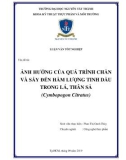 Luận văn tốt nghiệp Công nghệ thực phẩm: Ảnh hưởng của quá trình chần và sấy đến hàm lượng tinh dầu trong lá, thân sả (Cymbopogon citratus)