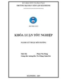 Khóa luận tốt nghiệp Kỹ thuật môi trường: Nghiên cứu ảnh hưởng của một số yếu tố đến quá trình xử lý hơi dung môi hữu cơ (Benzen và Toluen) bằng dung dịch hoạt động bề mặt