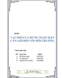 Tiểu luận môn Quản lý tài nguyên rừng: Vai trò của rừng ngập mặn Cần Giờ đối với môi trường