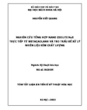 Tóm tắt Luận án Tiến sĩ Kỹ thuật hóa học: Nghiên cứu tổng hợp nano zeolite NaX trực tiếp từ metacaolanh và tro trấu để xử lý nhiên liệu kém chất lượng
