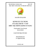 Luận văn Thạc sĩ Y học: Đánh giá tác dụng của bài thuốc 'CTH' điều trị Thống kinh cơ năng