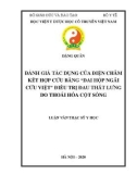 Luận văn Thạc sĩ Y học: Đánh giá tác dụng của điện châm kết hợp cứu bằng 'Đai hộp ngải cứu Việt' điều trị đau thắt lưng do thoái hóa cột sống