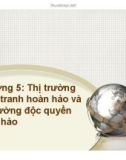 Bài giảng Kinh tế học: Chương 5 - Trương Thiên Hòa