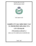 Khóa luận tốt nghiệp: Nghiên cứu đặc điểm thực vật và thành phần hóa học của cây Yến bạch (Chromolaena odorata L.)