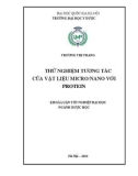 Khóa luận tốt nghiệp: Thử nghiệm tương tác của vật liệu micro nano với protein